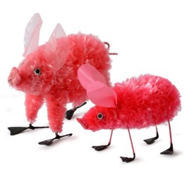 Hinstellen Schwein aus Plastiktüten