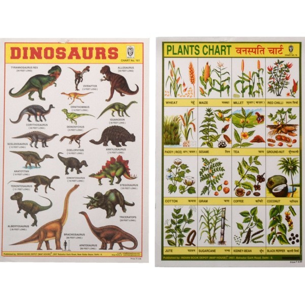 Poster Schulposter klein, Tiere & Pflanzen