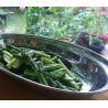 bowl stainless steel, oval