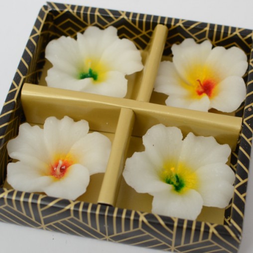 swimming candles 4 pcs