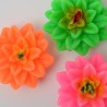 swimming candles 4 pcs