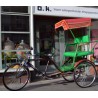 rickshaw lamp flower