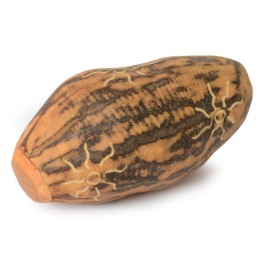 baobab nut shaker