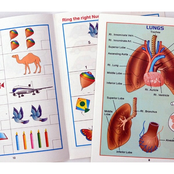 Kinder Heft Numbers und Physiology