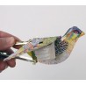 Blech- Vogel Whistling Sparrow