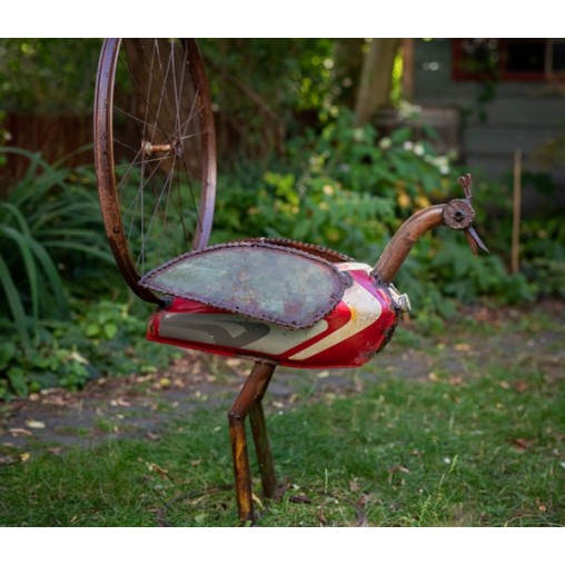 scrap bird peacock