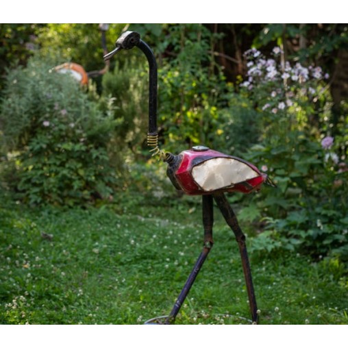 scrap bird ostrich