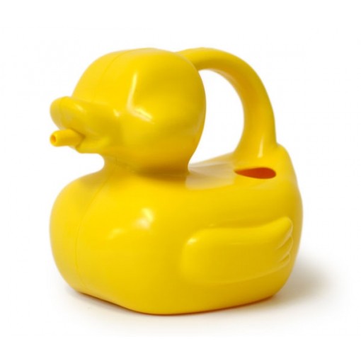 watering can duck